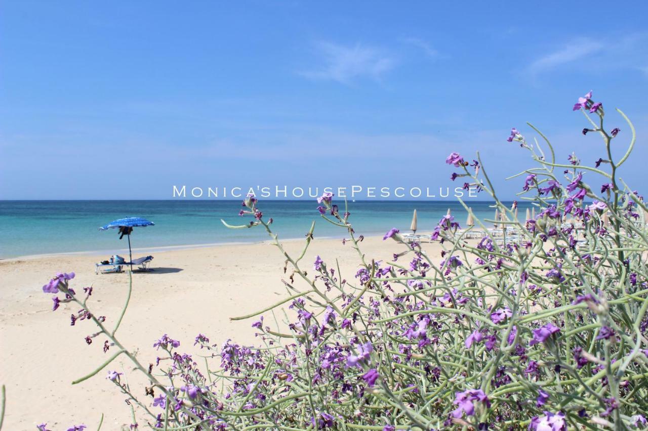 Home Holiday Salento Monica'S House Pescoluse 佩斯科勒海滨 外观 照片