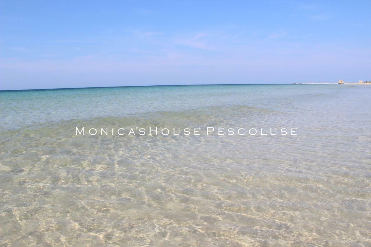 Home Holiday Salento Monica'S House Pescoluse 佩斯科勒海滨 外观 照片